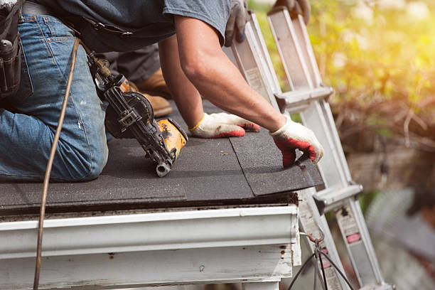 Roof Gutter Cleaning in Golden Triangle, NJ